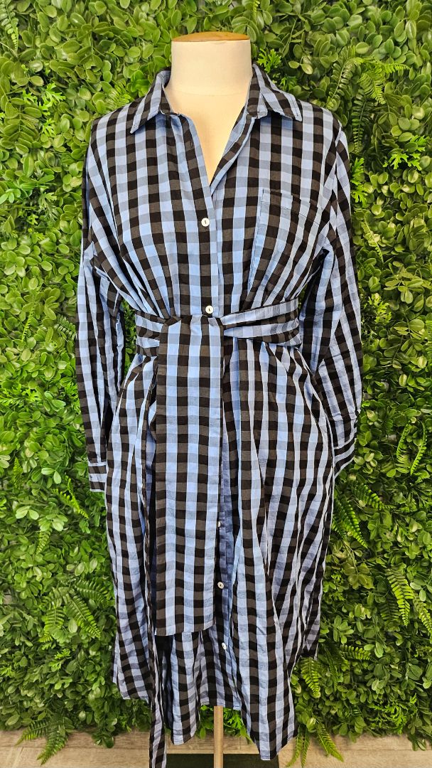 Shirty Blue Check Shirt Dress (14)