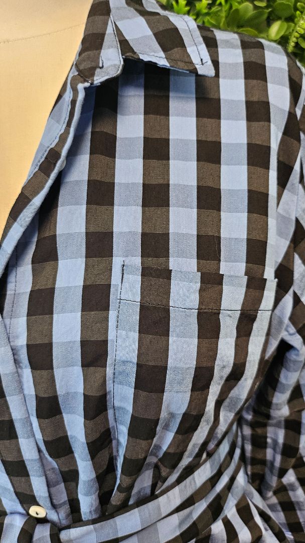 Shirty Blue Check Shirt Dress (14)