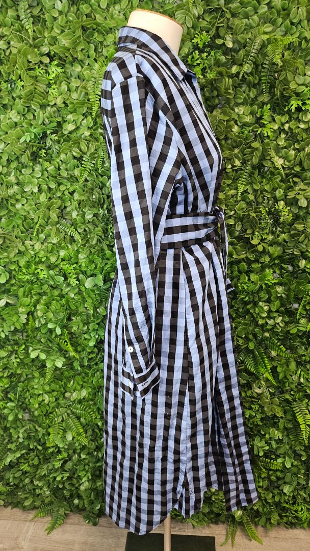 Shirty Blue Check Shirt Dress (14)