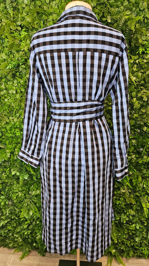 Shirty Blue Check Shirt Dress (14)