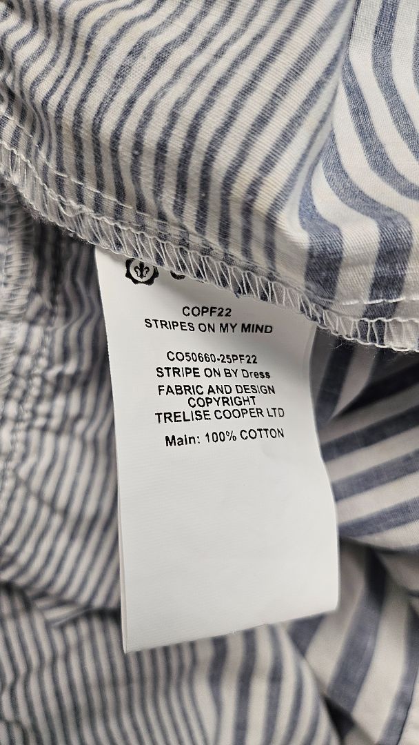 Cooper Stripe Stripe On By Dress (12)