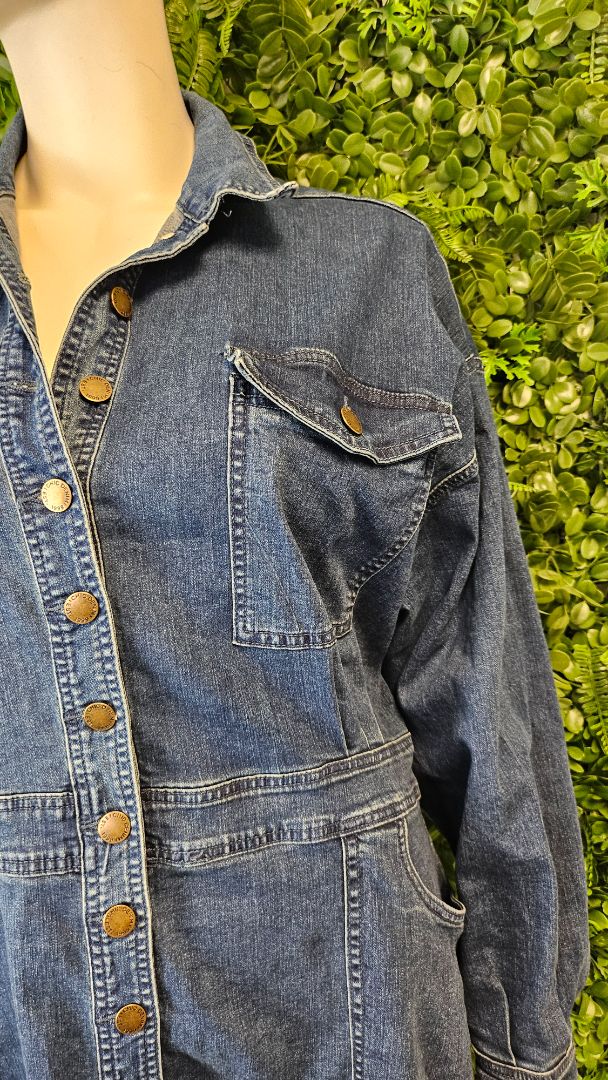 City Chic Denim Rider Dress (20)