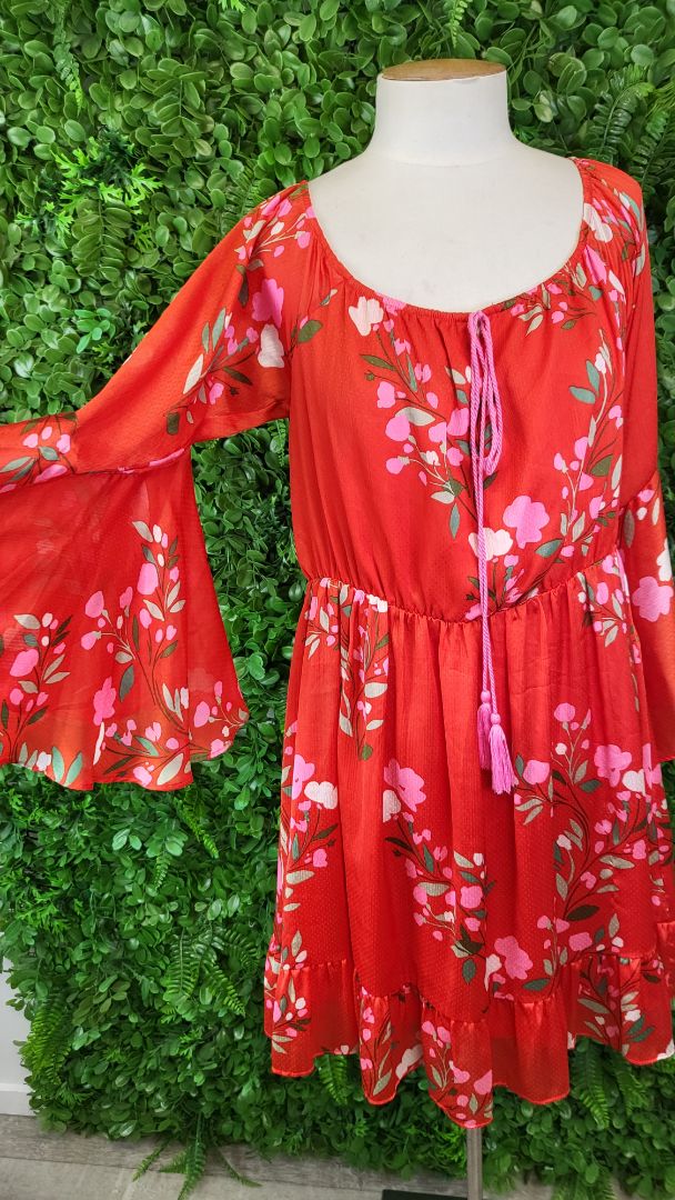 Augustine Floral Scarlett Dress BNWT (14)