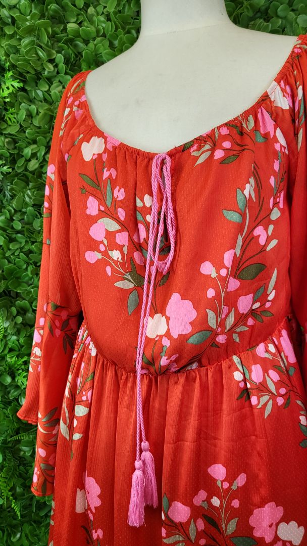 Augustine Floral Scarlett Dress BNWT (14)