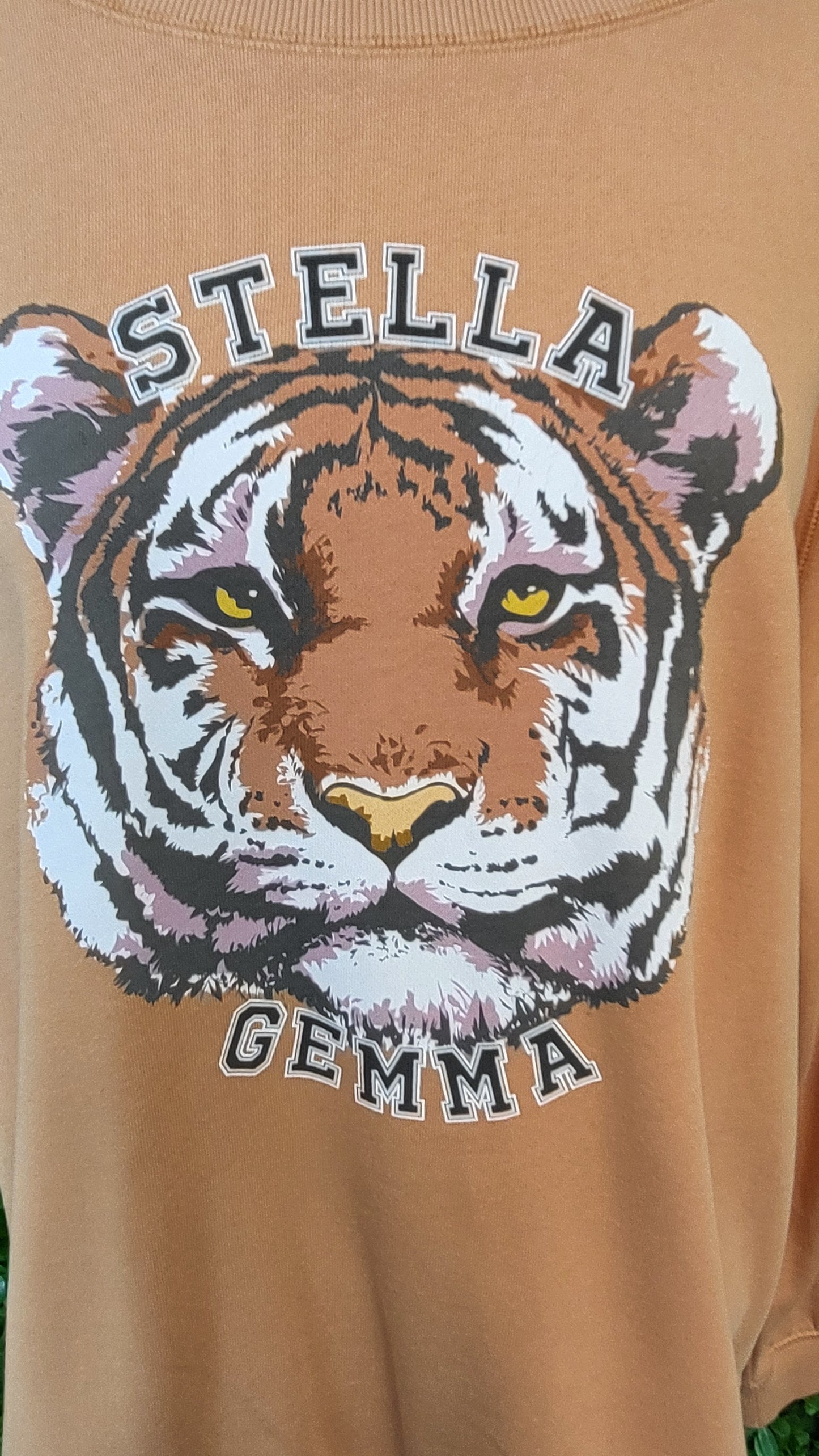 Stella+Gemma Tan Print Crew Sweater (14)