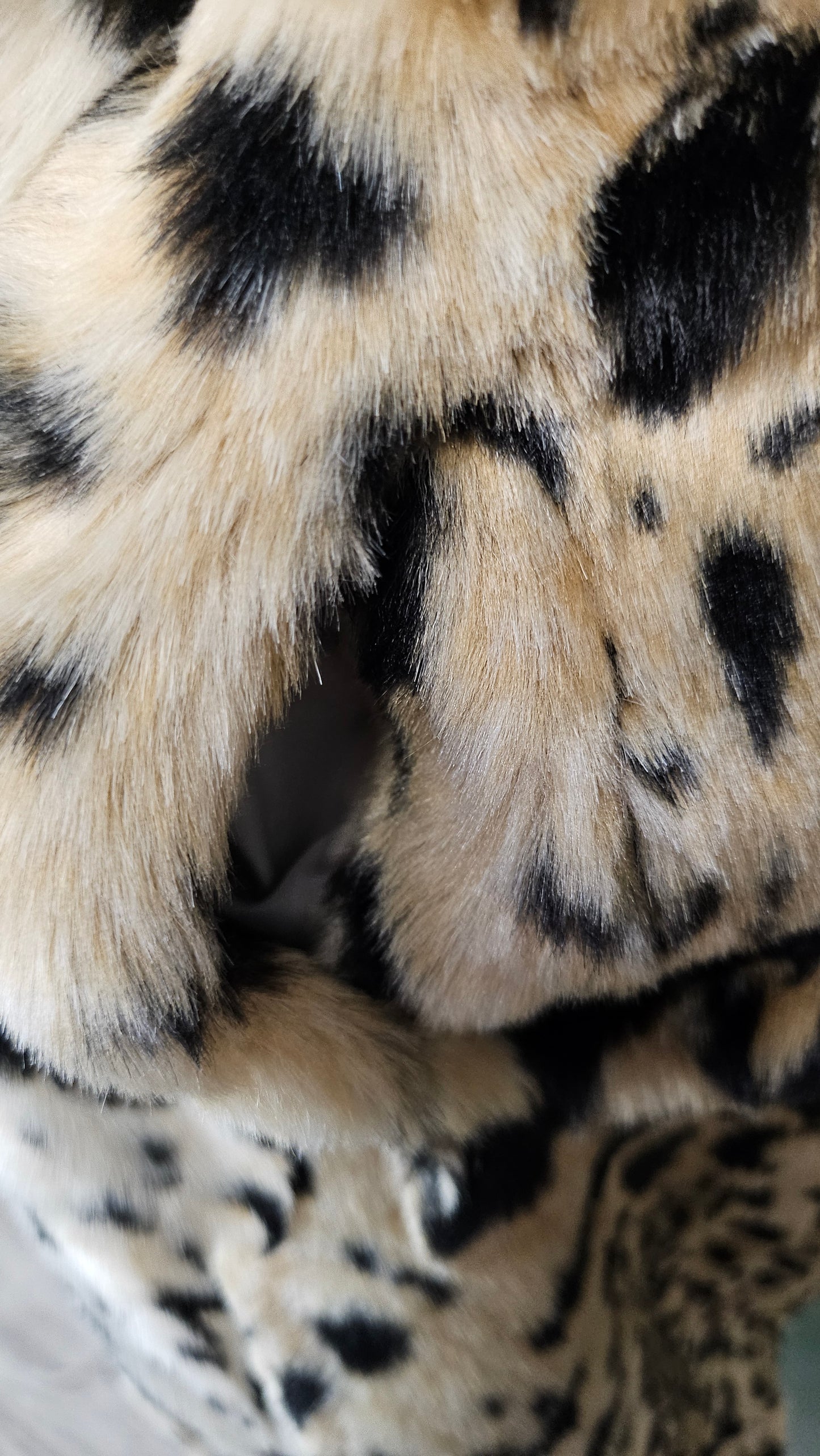 Day Birger Animal Roar Coat (10)