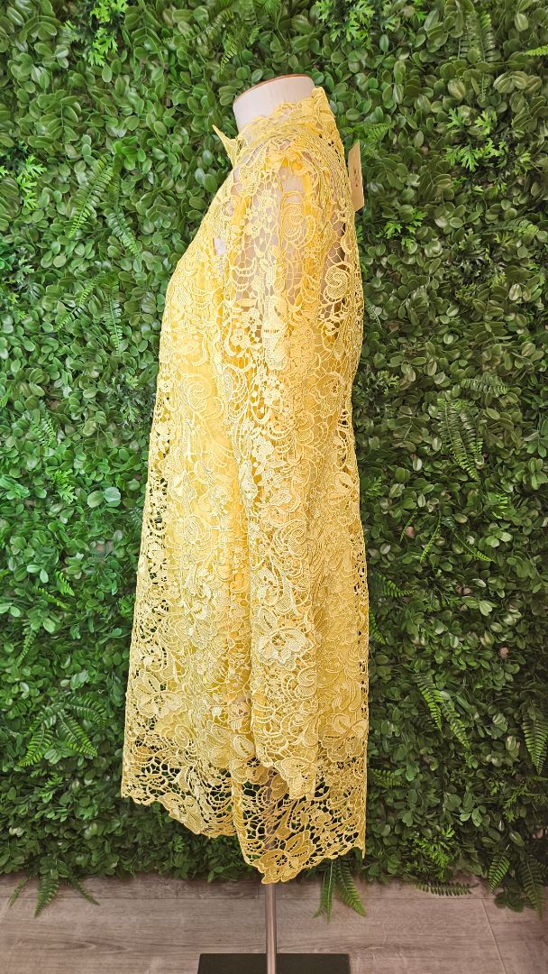 Kate Sylvester Yellow Adele Dress BNWT (12)