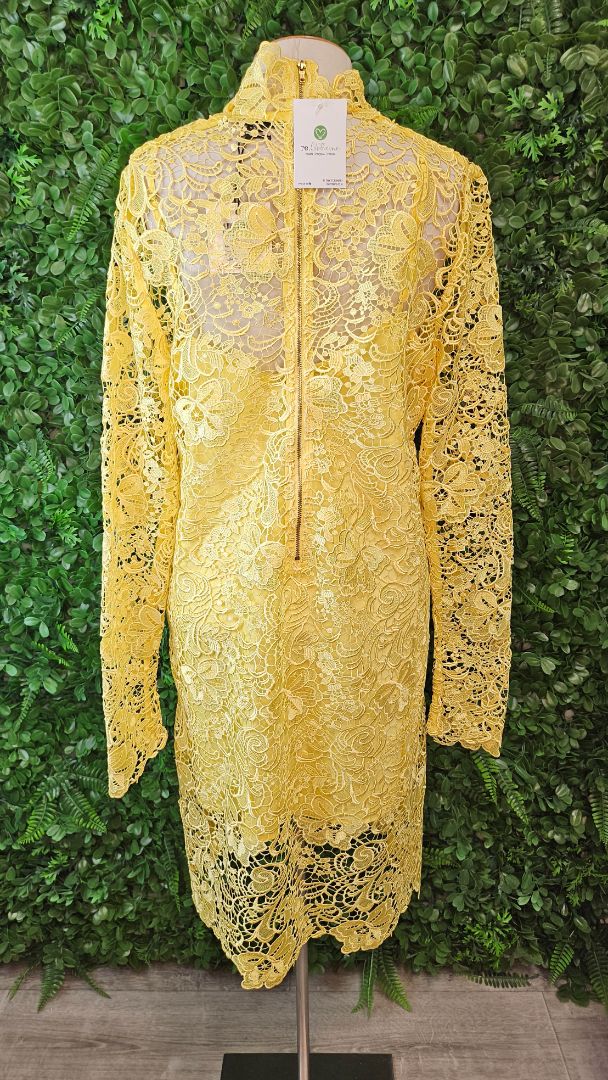 Kate Sylvester Yellow Adele Dress BNWT (12)