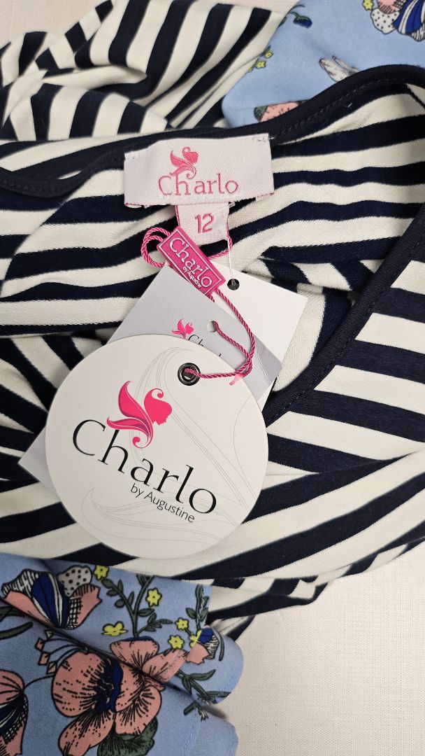 Charlo Stripe/Floral Lexi Dress BNWT (12)