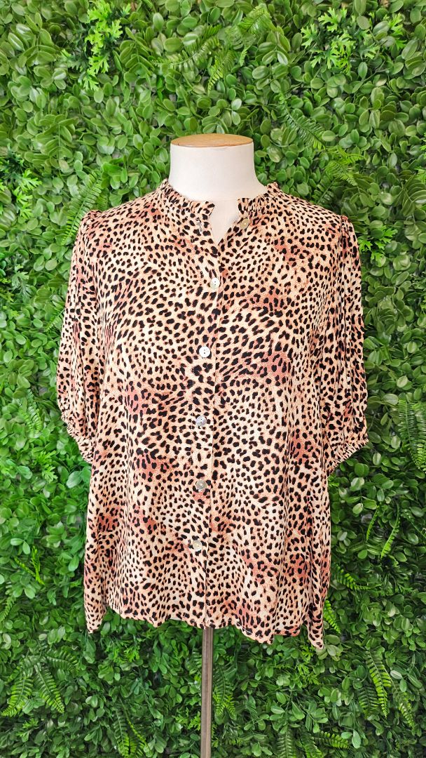 Eb & Ive Animal Amazonia Shirt BNWT (12)