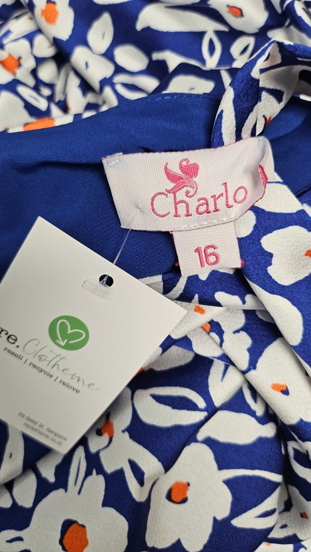 Charlo Blue Alex Dress BNWT (16)