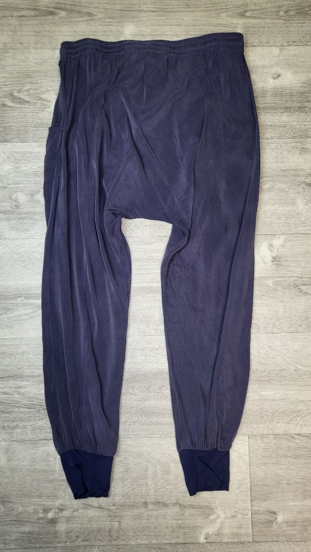 Drama The Label Blue Jogger Pant (10)