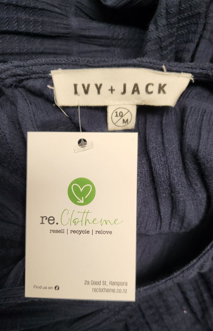 Ivy + Jack Navy Shirred Dress (10/12)