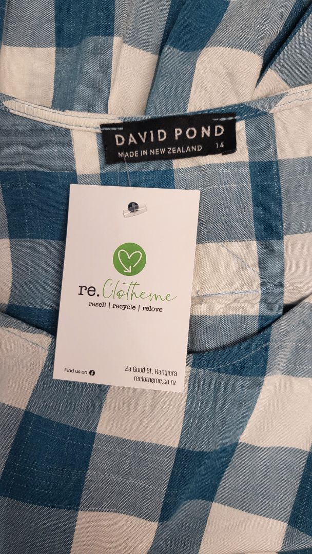 David Pond Teal/White Check Dress (14)