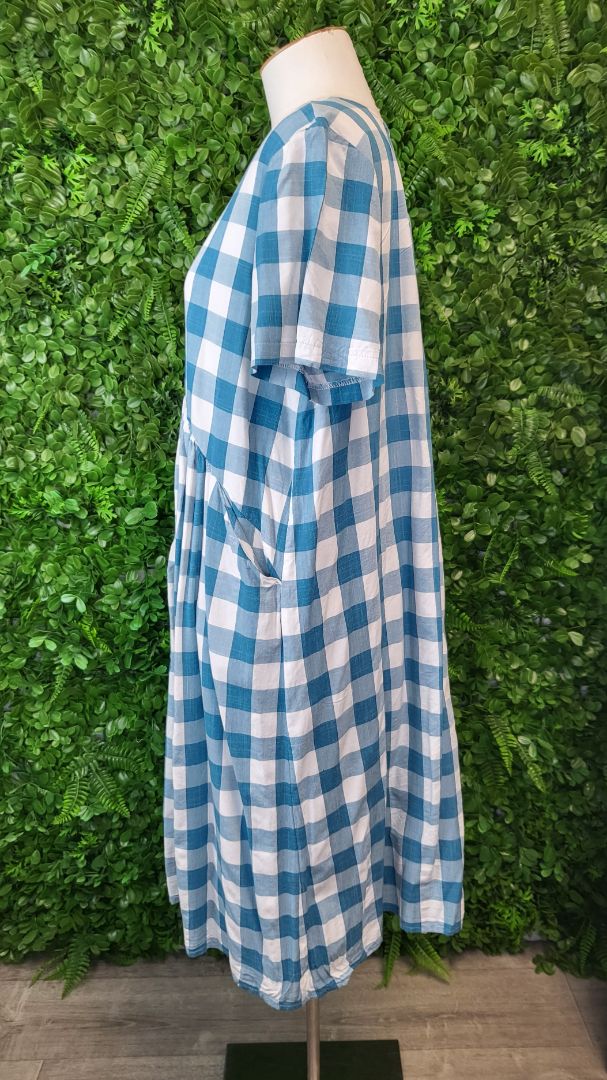 David Pond Teal/White Check Dress (14)