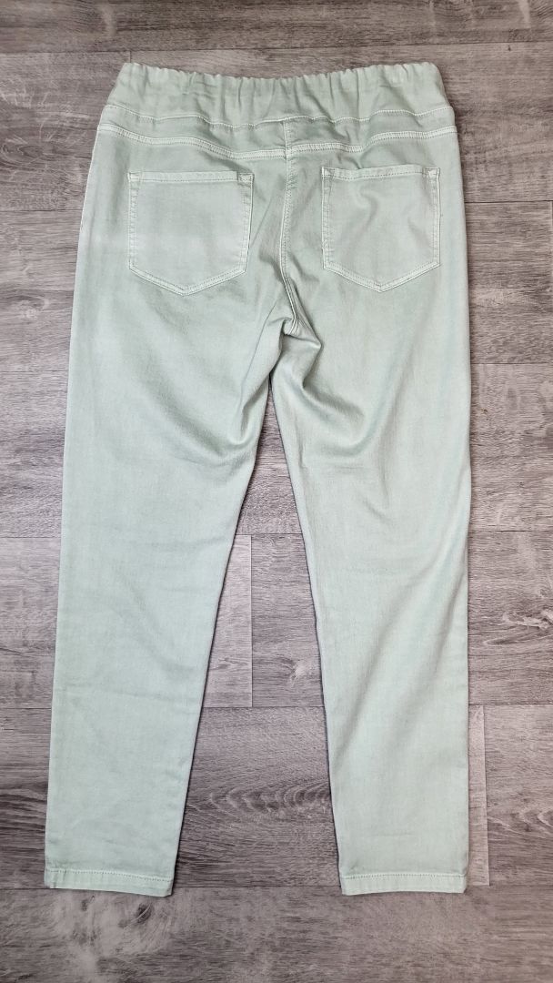 Blue Illusion Mint Slim Pant (14)