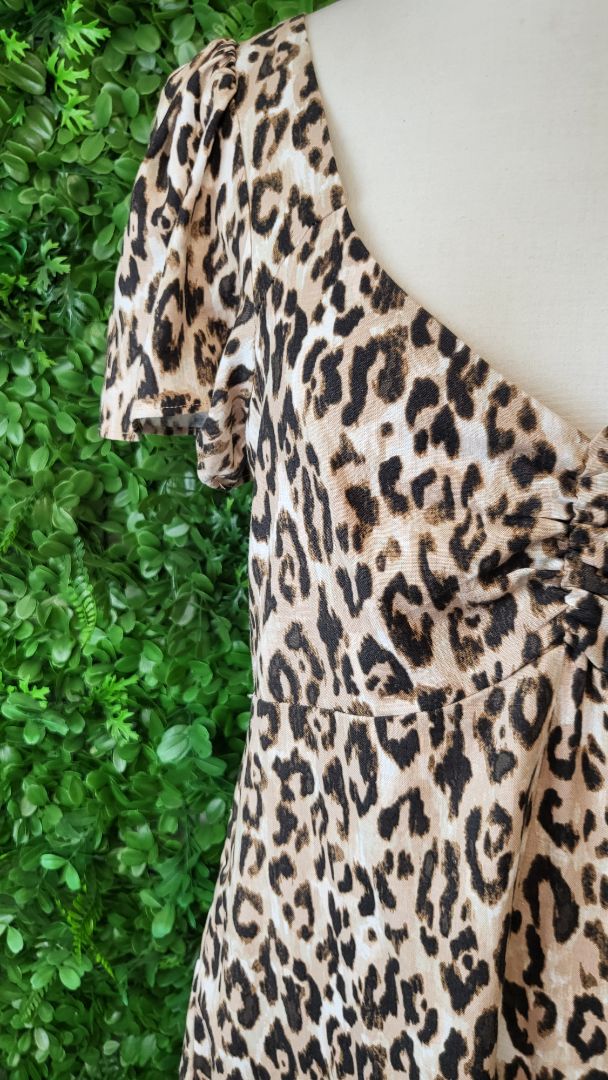 Decjuba  Animal Print Dress (10)