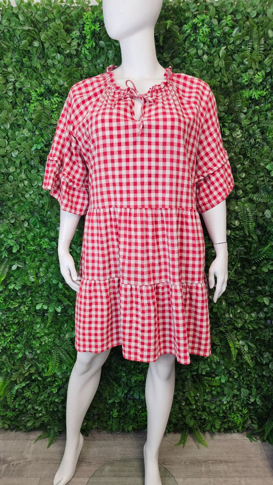 Isla-Maree Red/White Gingham Dress (26)