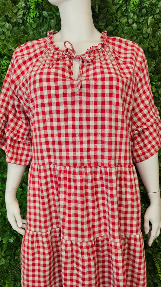 Isla-Maree Red/White Gingham Dress (26)