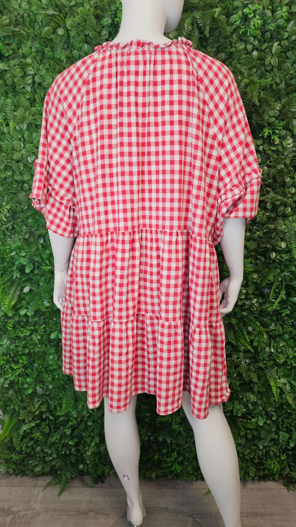 Isla-Maree Red/White Gingham Dress (26)