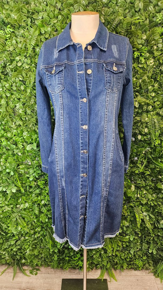 Big Dart  Denim Dress (10)