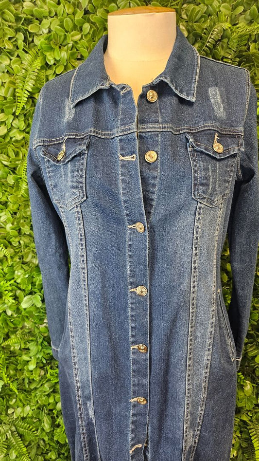 Big Dart  Denim Dress (10)
