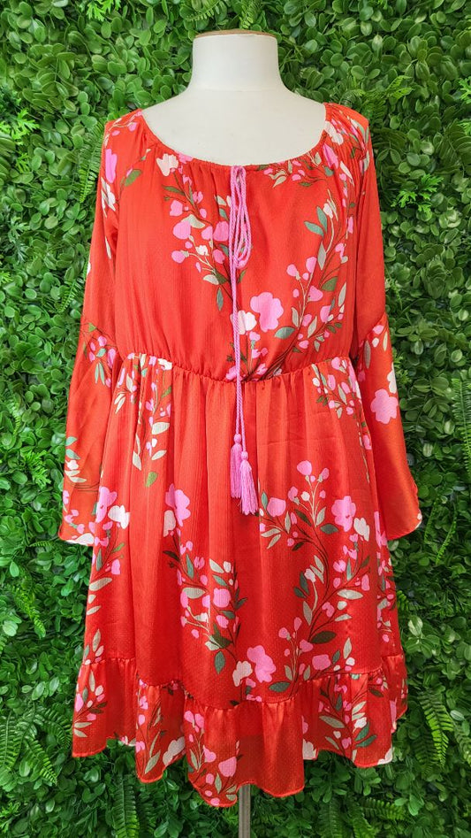 Augustine Floral Scarlett Dress BNWT (14)