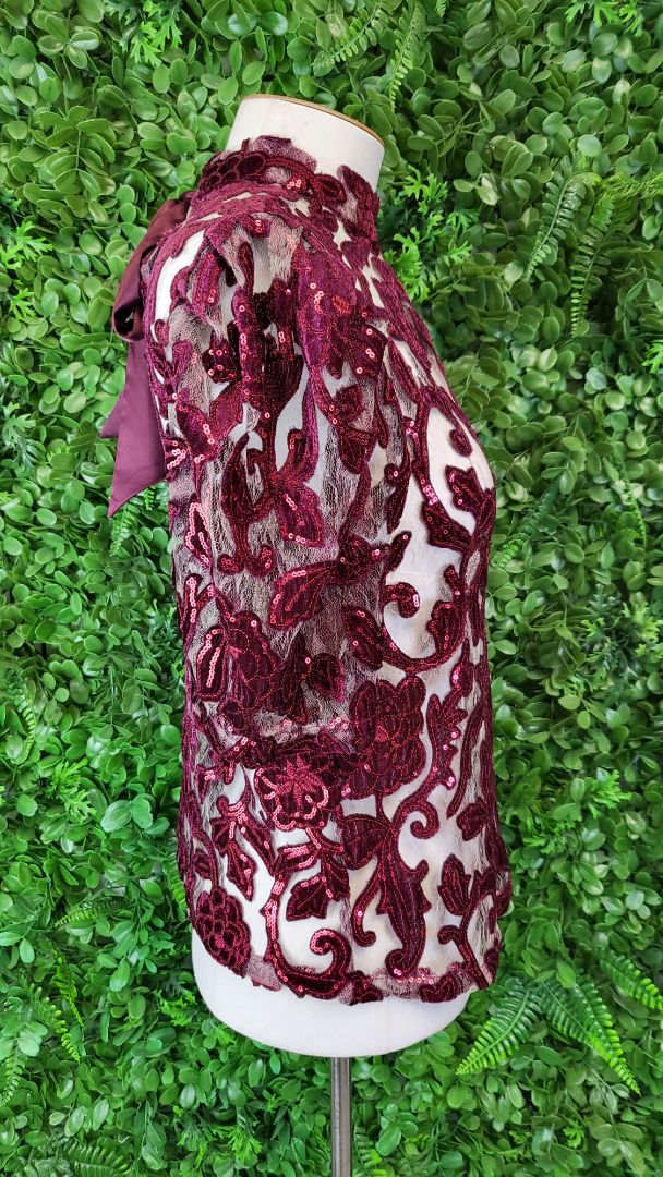 Anthropologie Burgundy Velvet Top (8)