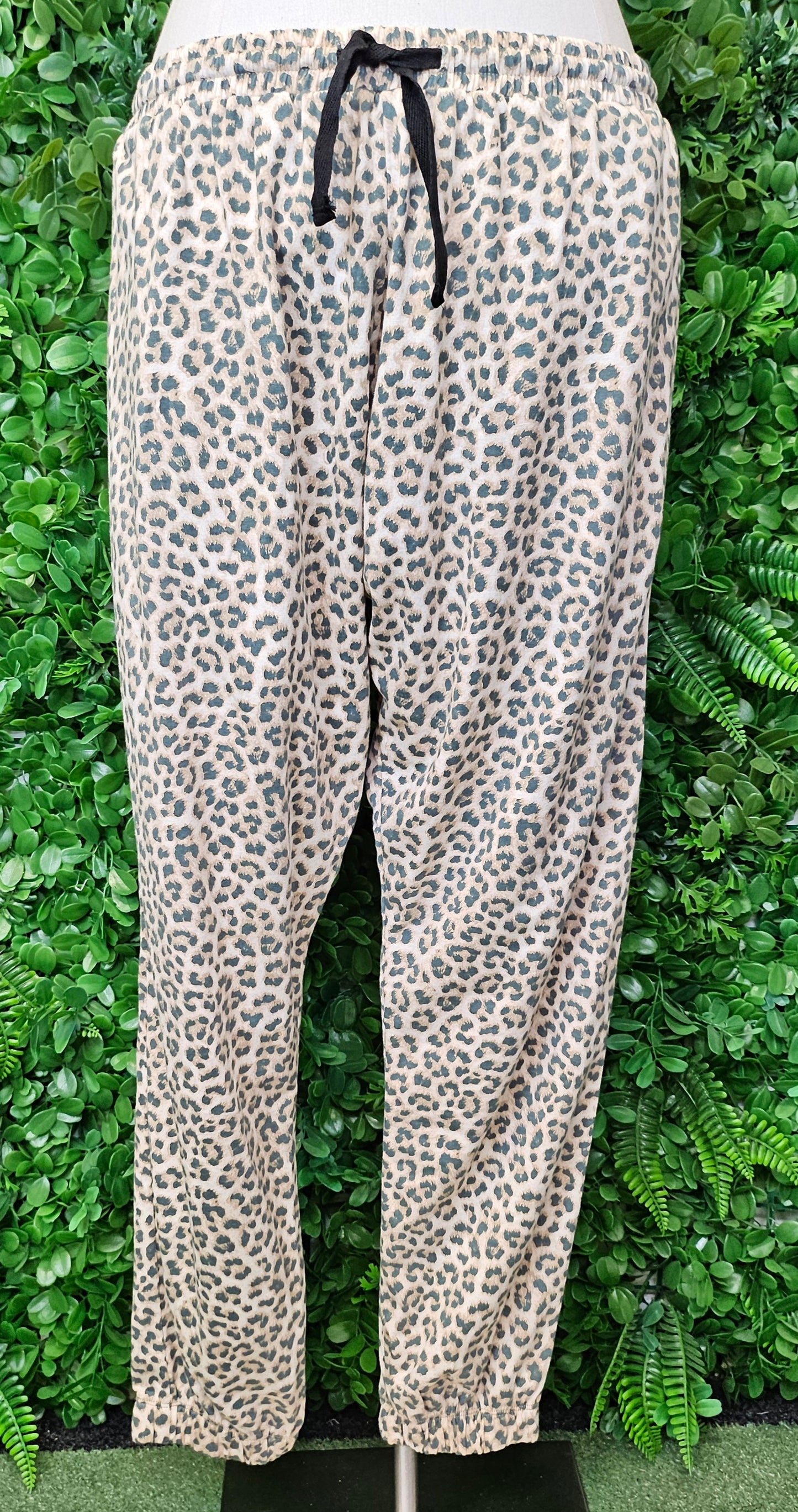 Cartel & Willow  Leopard Print Pant BWNT (14)