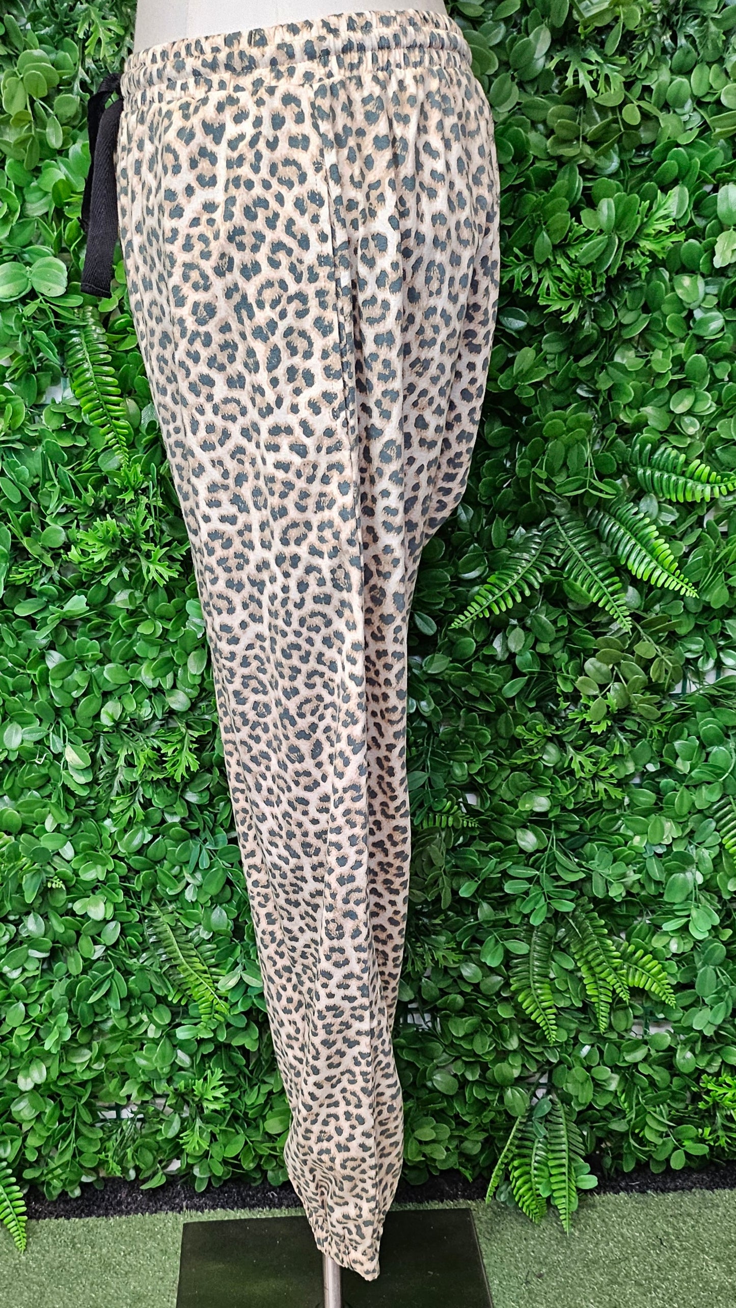 Cartel & Willow  Leopard Print Pant BWNT (14)