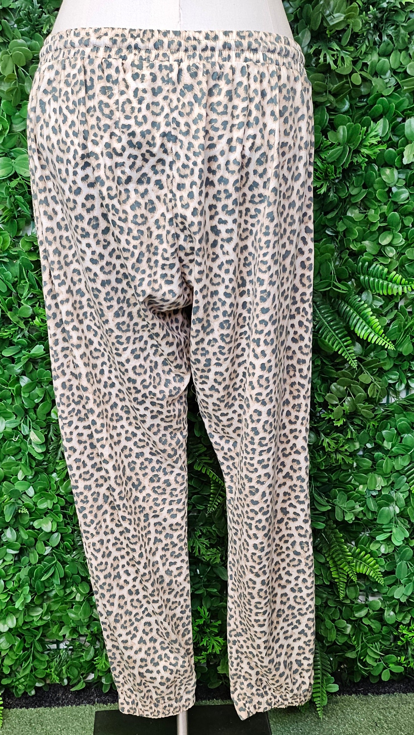 Cartel & Willow  Leopard Print Pant BWNT (14)