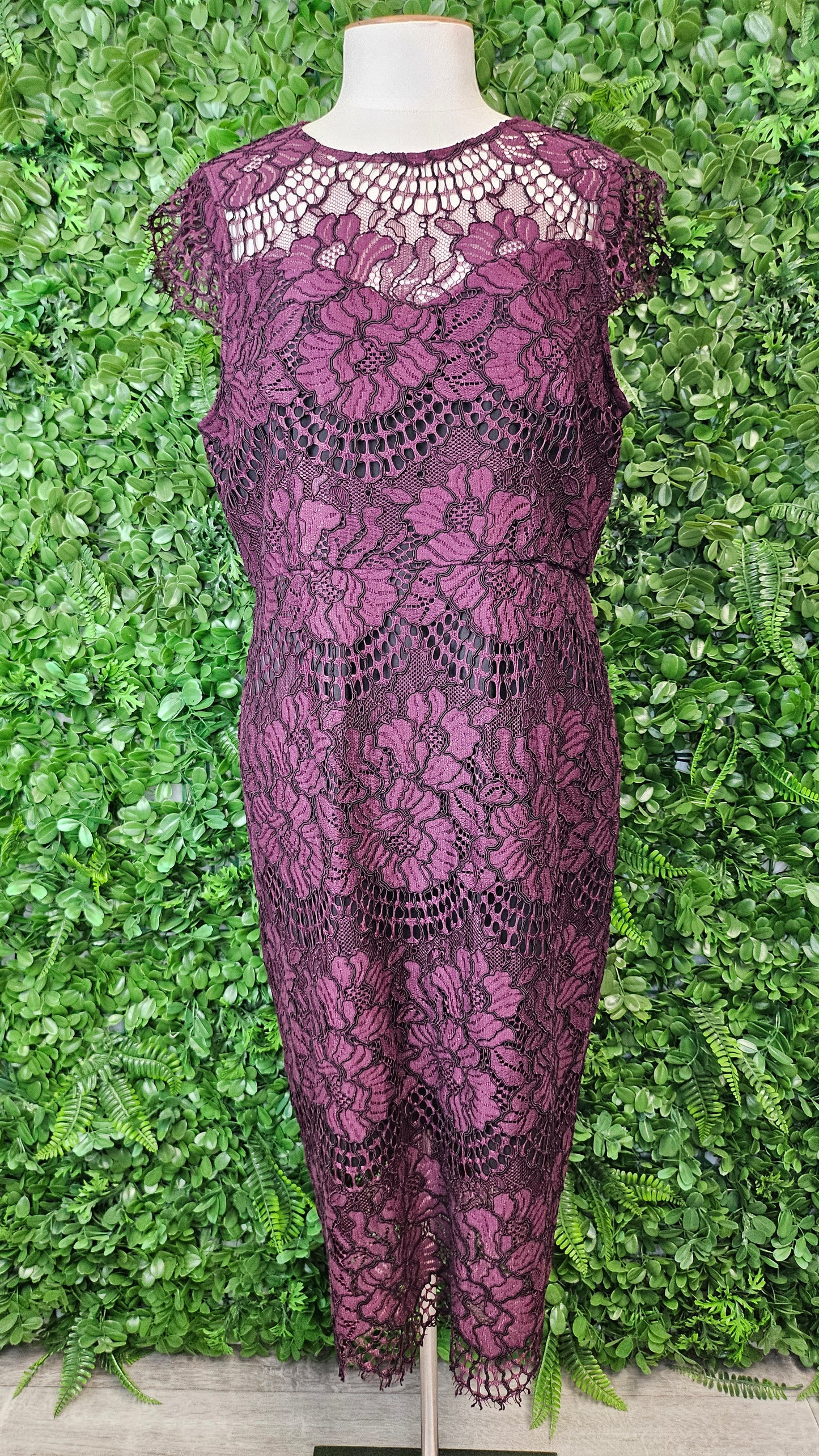 Portmans Burgundy Lace Dress (14)