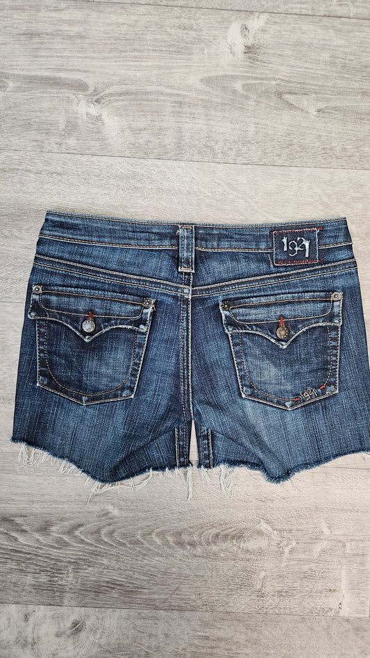 1921 Ink Fray Hem Shorts (8)