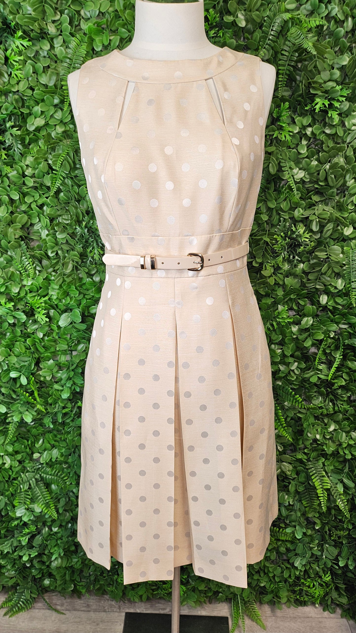 Tahari Cream Belted Dress (10)