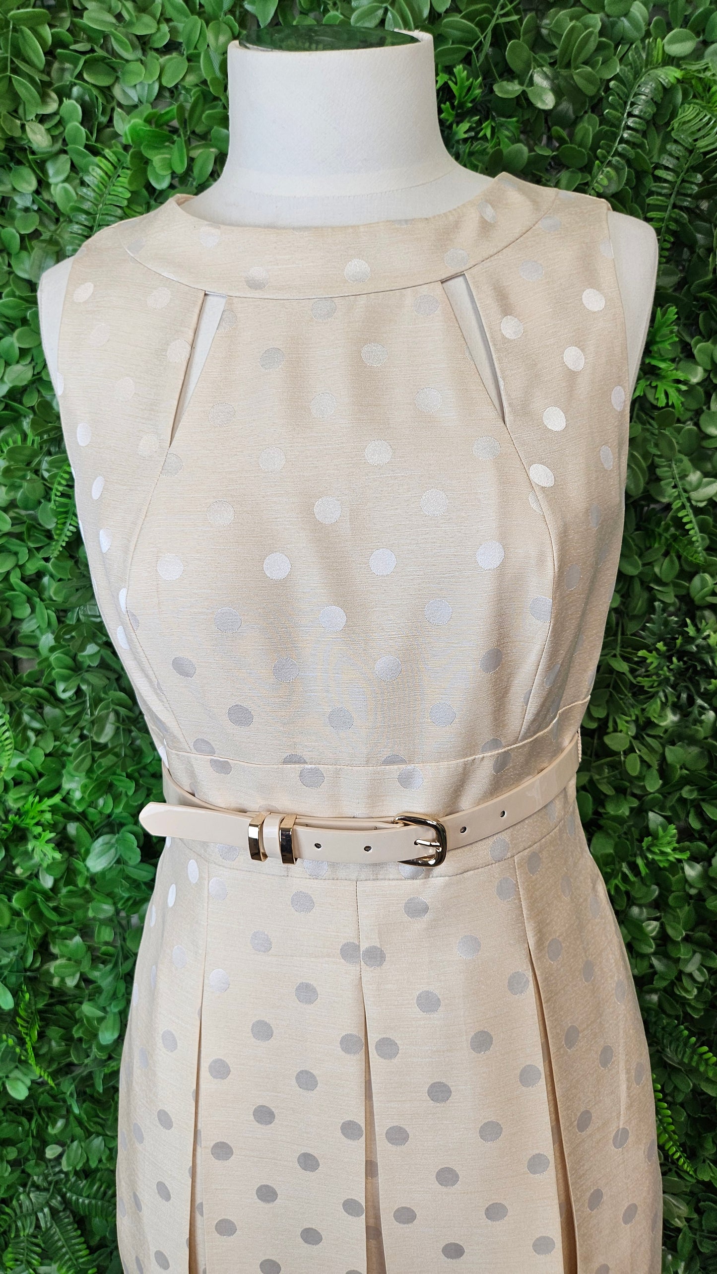 Tahari Cream Belted Dress (10)