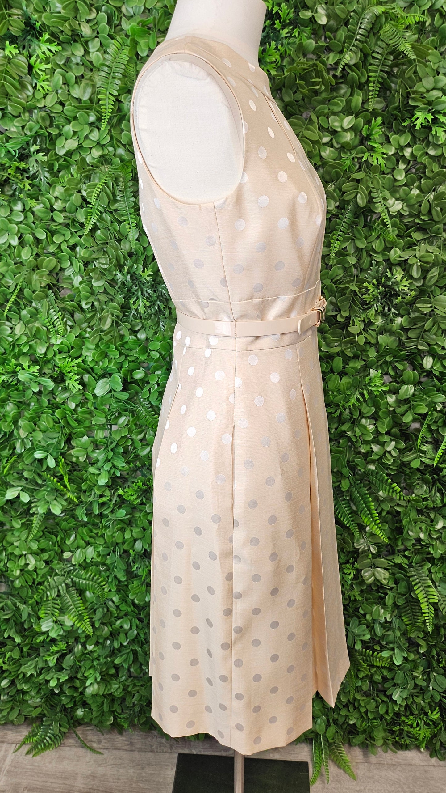 Tahari Cream Belted Dress (10)