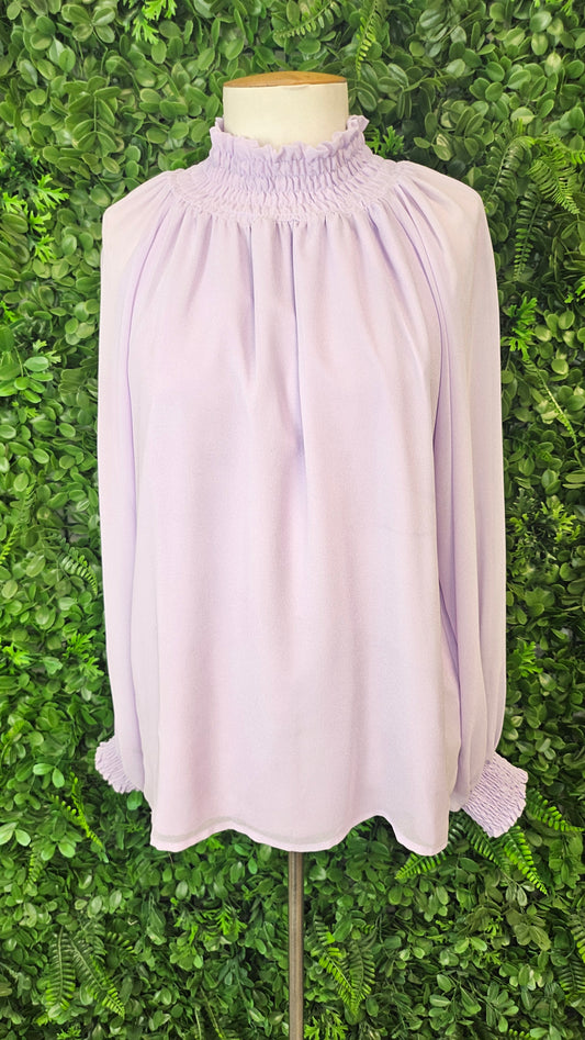 Pretty Basics Lilac Sheer Blouse (10)