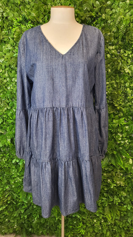 Federation Blue Chambray Dress (12)