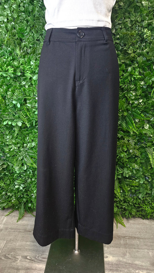 Blackstone Black Cropped Pants (14)